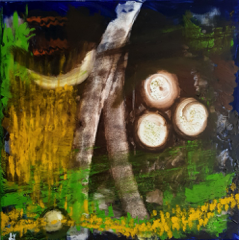Bild  0013